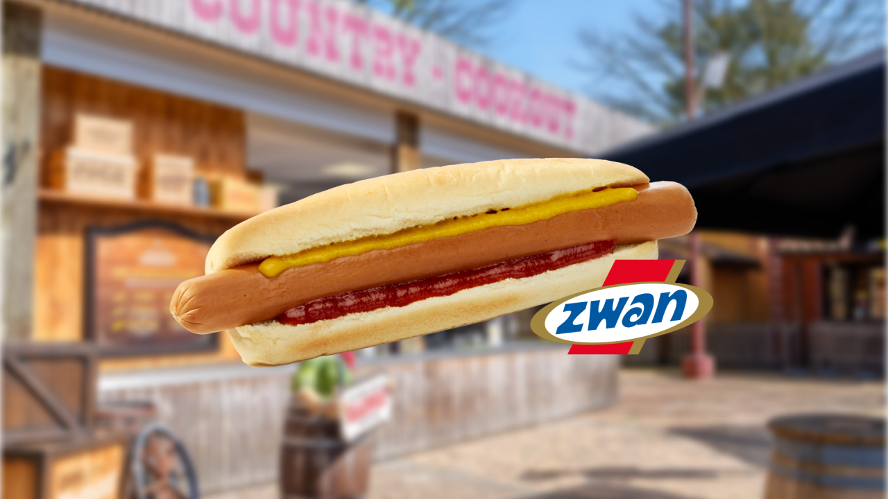 Zwan